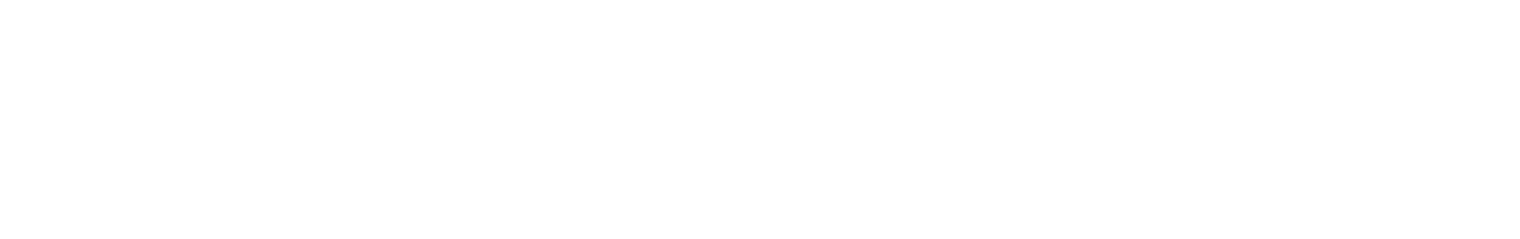 快盈VIII